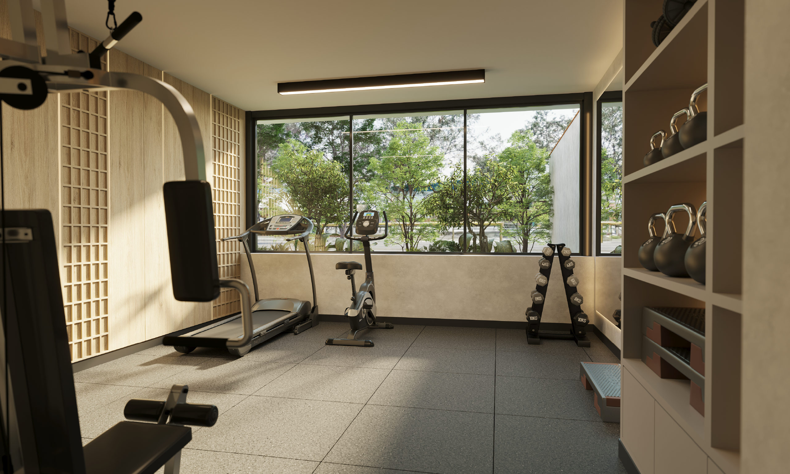 Gimnasio