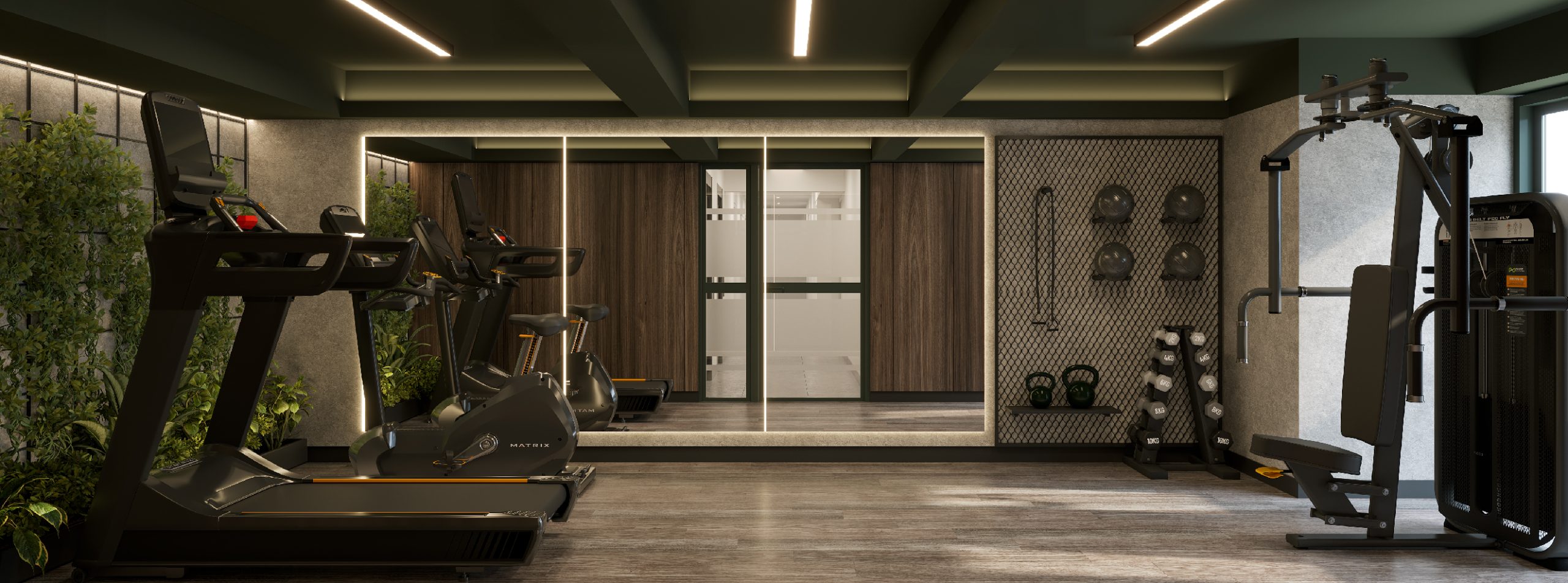 Gimnasio